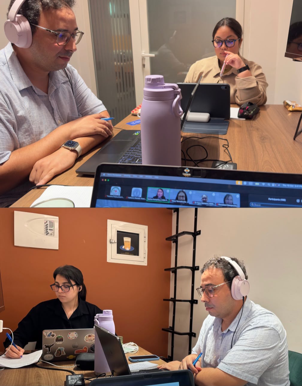 Les intervenants de l’AMNVS et de la HDA réunis pendant le webinaire du 15 octobre 2026 · 2/3